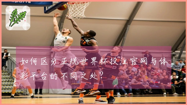 如何区分正规世界杯投注官网与体彩平台的不同之处？