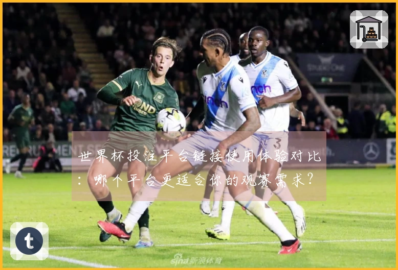 世界杯投注平台链接使用体验对比：哪个平台更适合你的观赛需求？