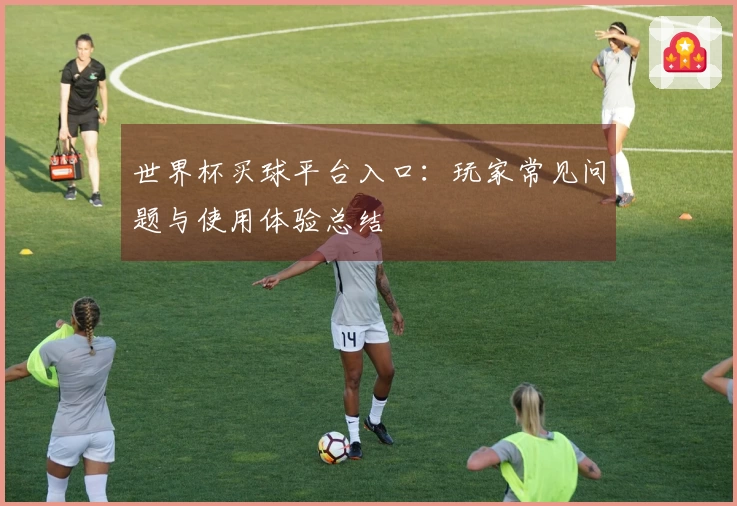 世界杯买球平台入口：玩家常见问题与使用体验总结