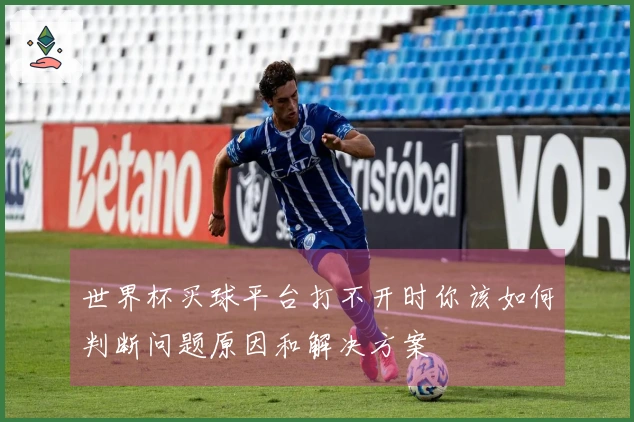 世界杯买球平台打不开时你该如何判断问题原因和解决方案