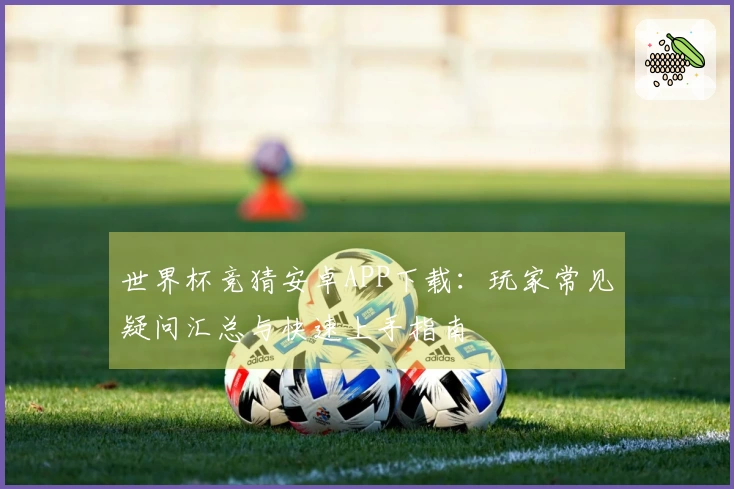 世界杯竞猜安卓APP下载:玩家常见疑问汇总与快速上手指南