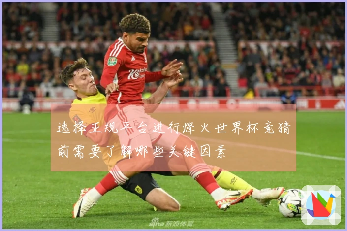 选择正规平台进行烽火世界杯竞猜前需要了解哪些关键因素
