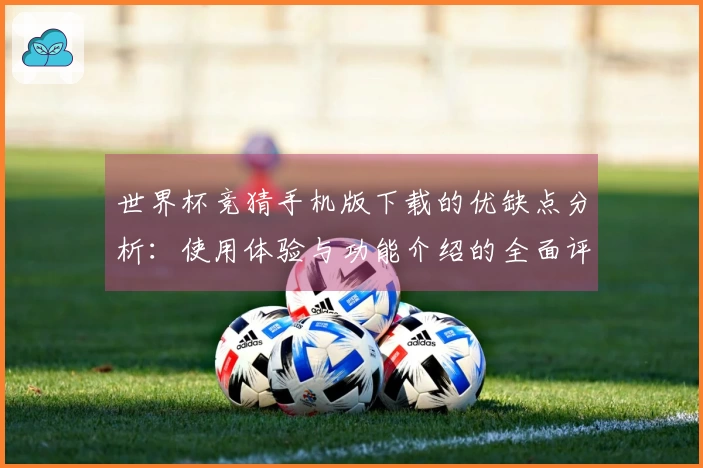 世界杯竞猜手机版下载的优缺点分析：使用体验与功能介绍的全面评测