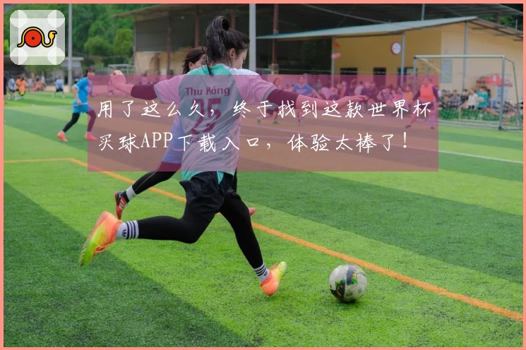 用了这么久，终于找到这款世界杯买球APP下载入口，体验太棒了！