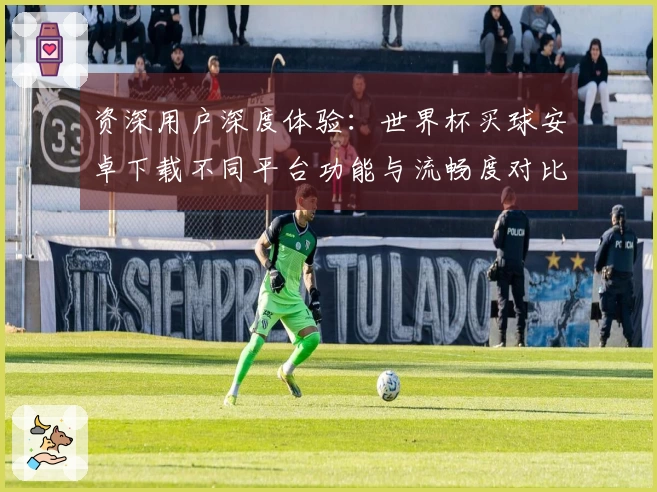 资深用户深度体验：世界杯买球安卓下载不同平台功能与流畅度对比