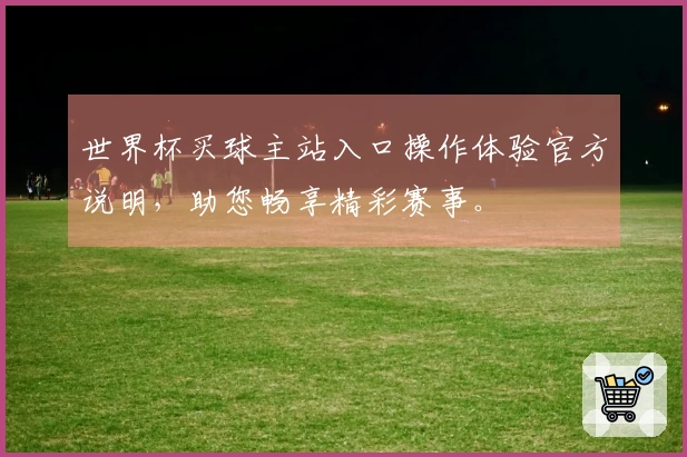 世界杯买球主站入口操作体验官方说明，助您畅享精彩赛事。