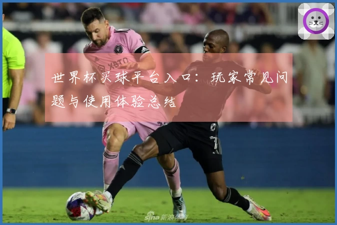 世界杯买球平台入口:玩家常见问题与使用体验总结