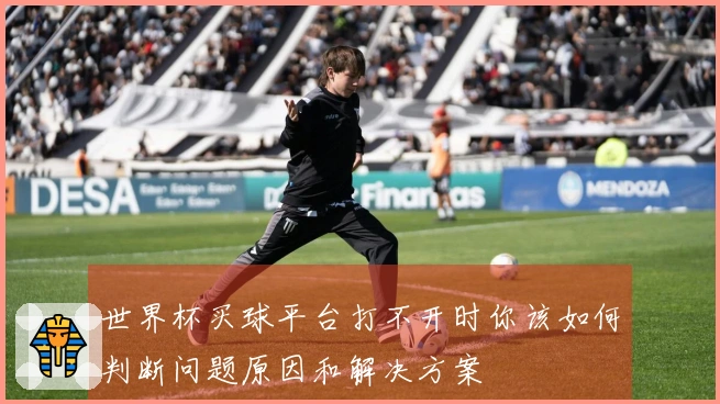 世界杯买球平台打不开时你该如何判断问题原因和解决方案