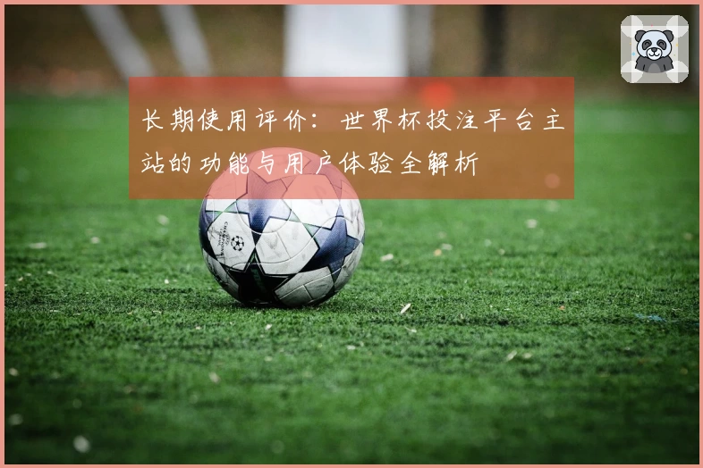 长期使用评价：世界杯投注平台主站的功能与用户体验全解析