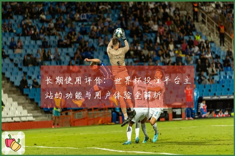 长期使用评价：世界杯投注平台主站的功能与用户体验全解析