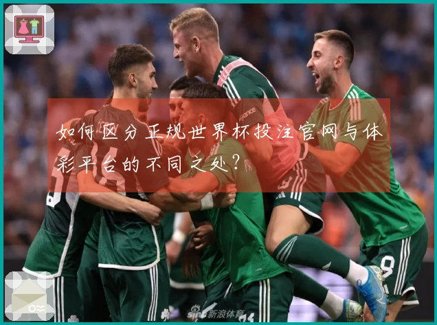 如何区分正规世界杯投注官网与体彩平台的不同之处？