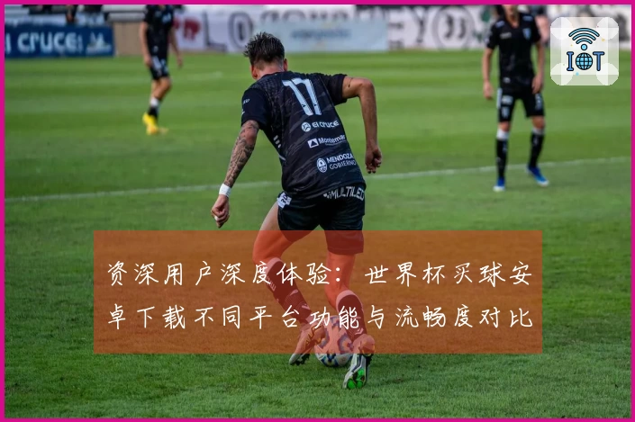 资深用户深度体验：世界杯买球安卓下载不同平台功能与流畅度对比
